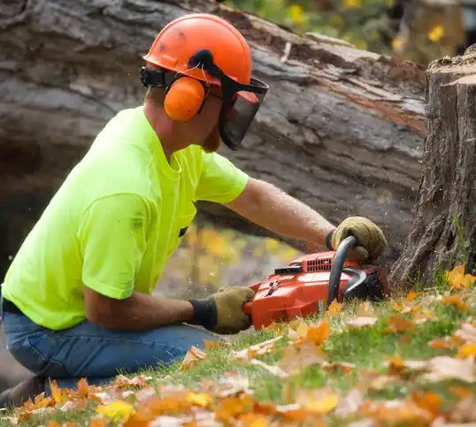 tree services Minster